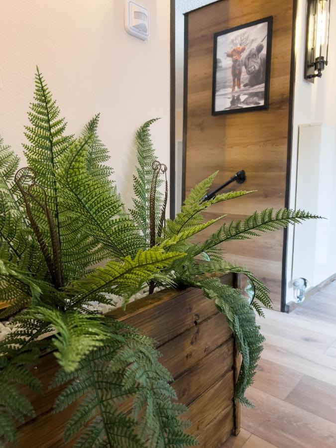 Ottobeurens Schmuckstueck: Gemuetlich-stylische Apartament Ottobeuren